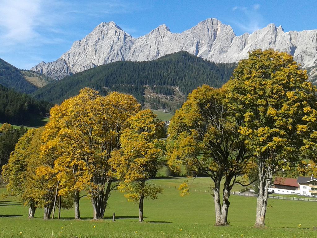 Apartment Oesterreich Рамзау Номер фото
