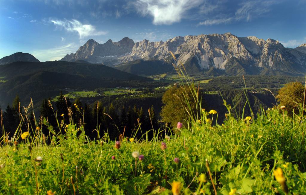 Apartment Oesterreich Рамзау Номер фото