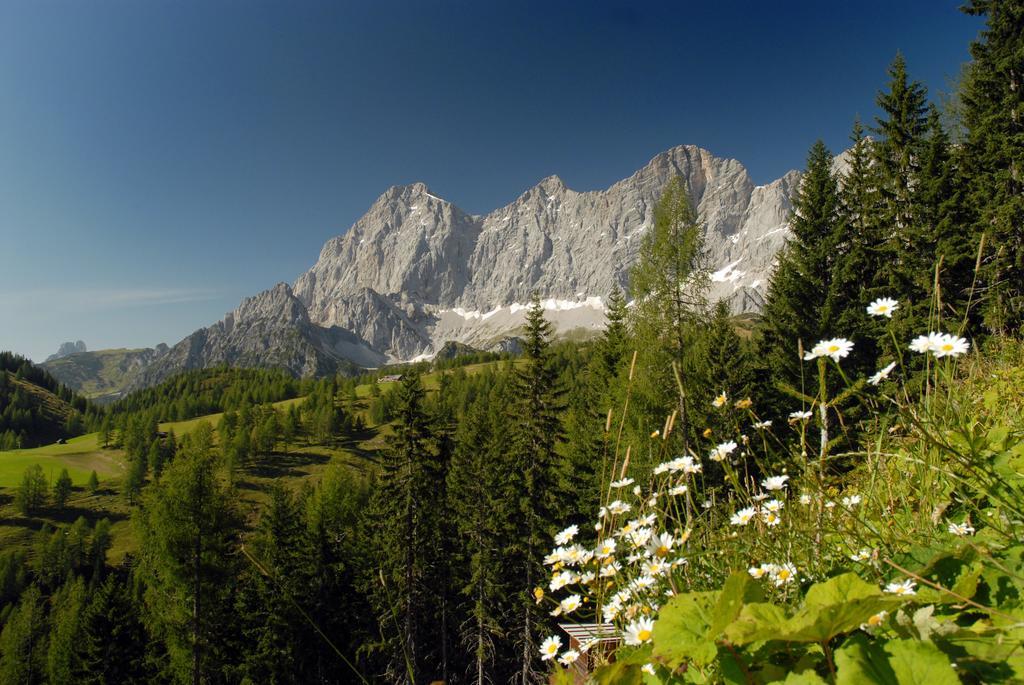 Apartment Oesterreich Рамзау Номер фото